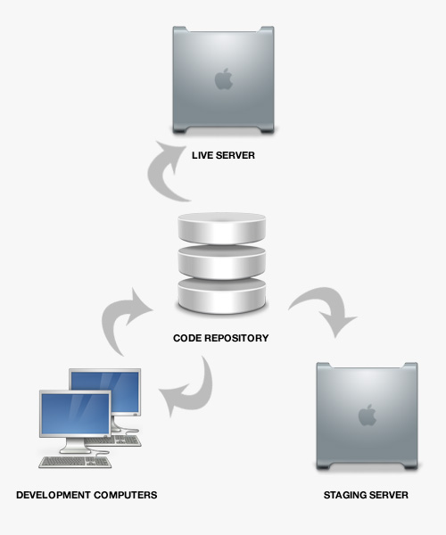 SVN-Environment Relationships